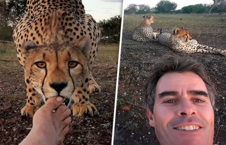 The Selfie with Cheetah